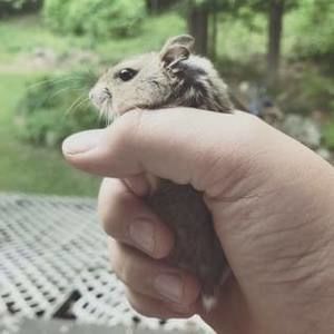 Meet your Posher, Jared